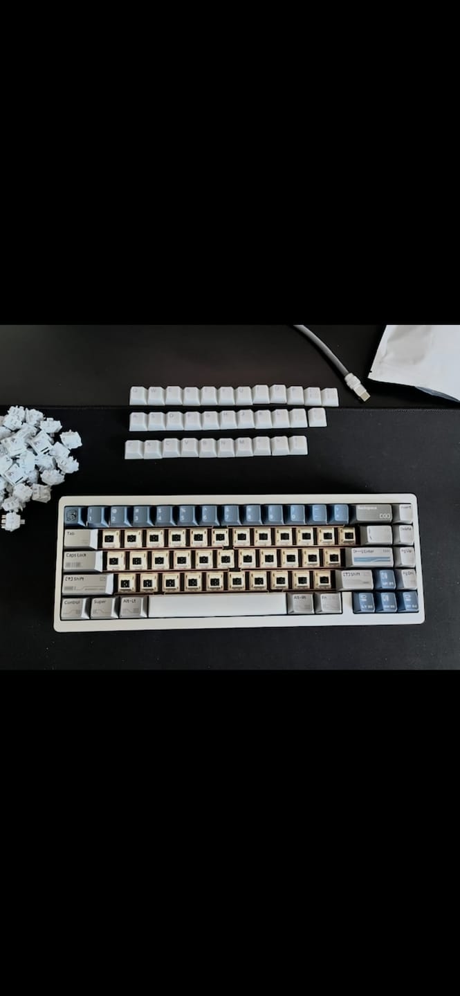 Customer photo review of KAILH Calligraphy LINEAR SWITCH FACTORY LUBED (10PCS)