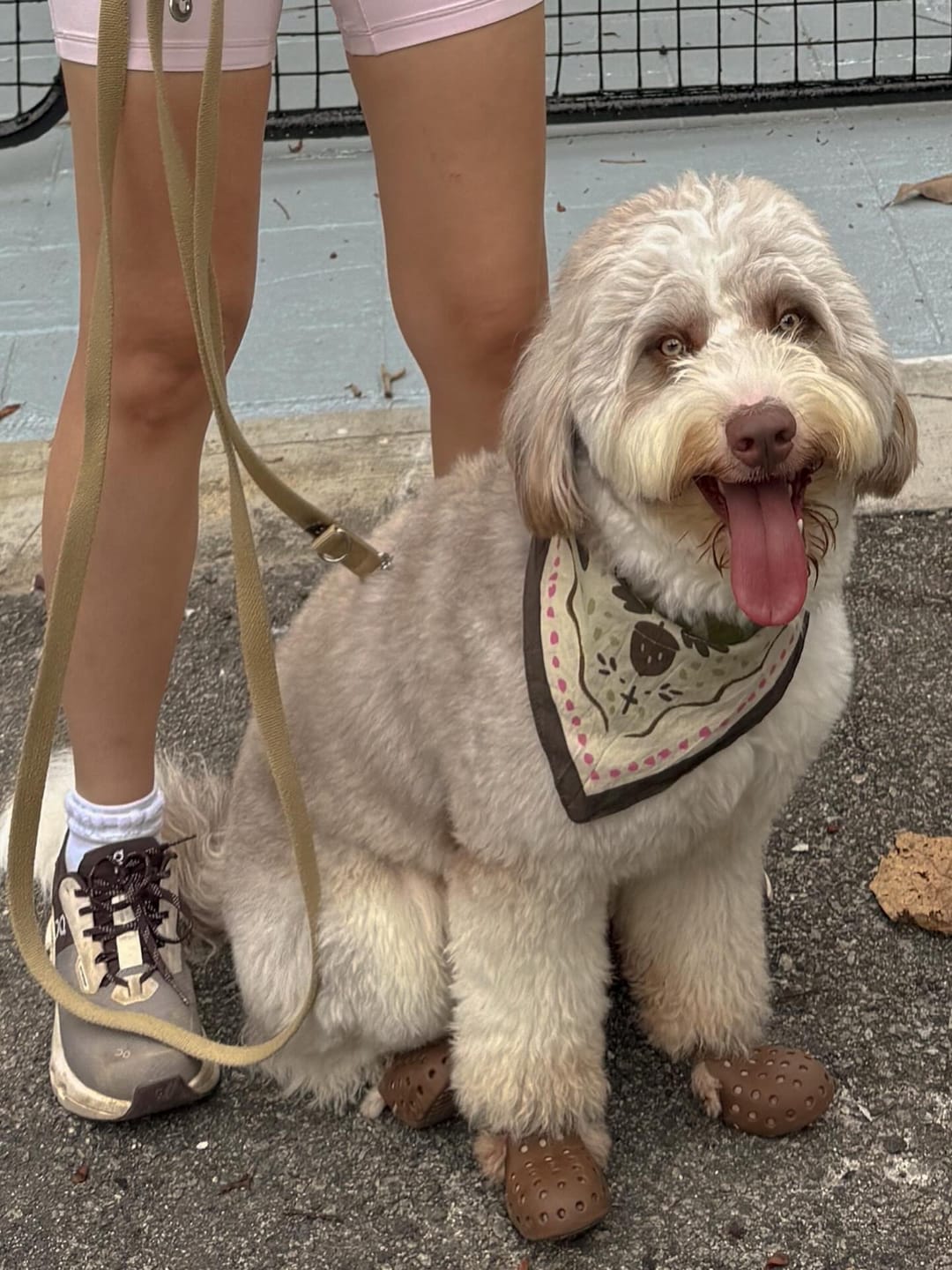 Customer photo review of Ginko Bandana