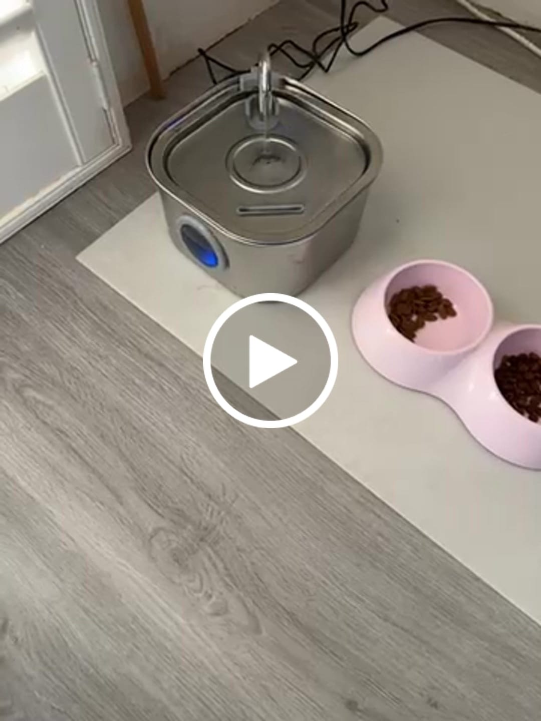 Customer video review of Whisker Collective Drinking Fountain