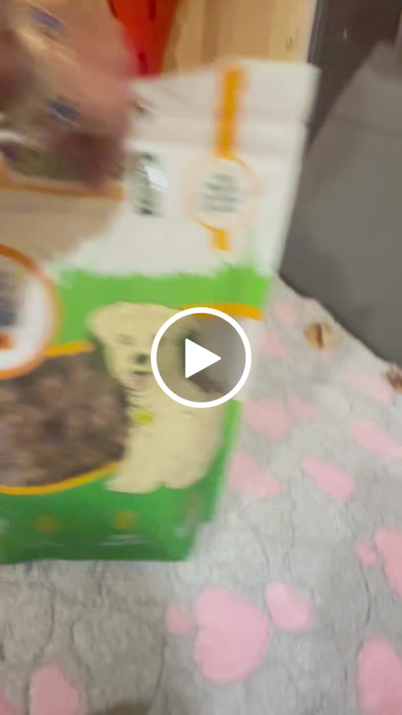 Customer video review of Beef Lung Chunks 1lb