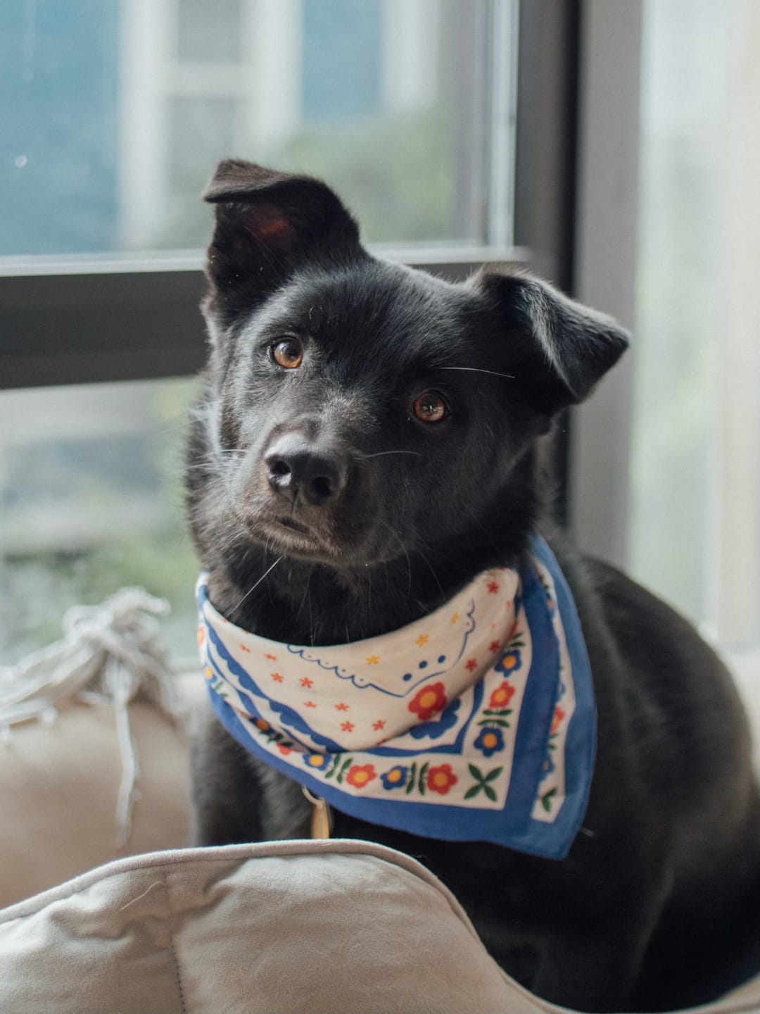 Customer photo review of Scandinavian Bandana