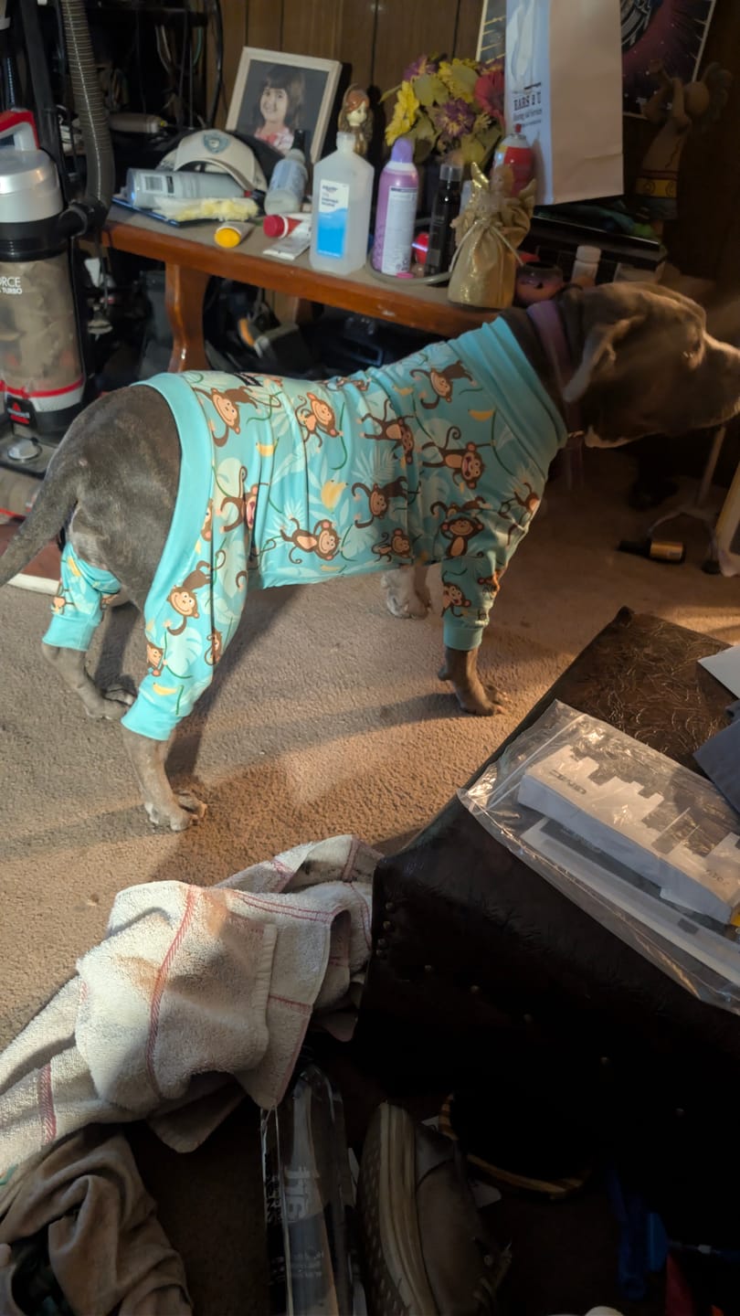 Customer photo review of Dog Pajama - Monkey Business