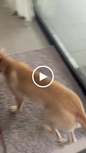 Customer video review of Premium - CleanyMat