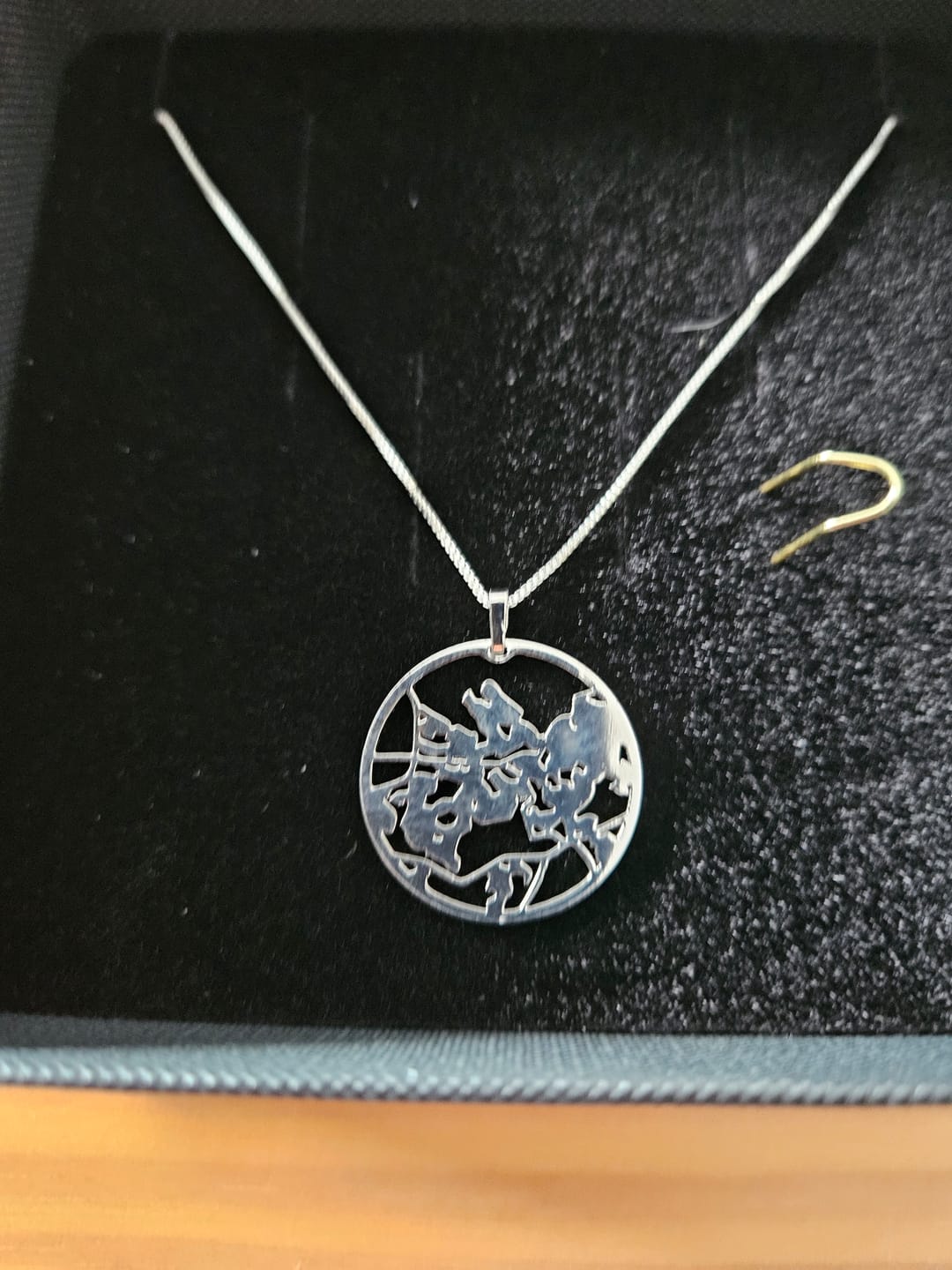 Customer photo review of Create Your Map