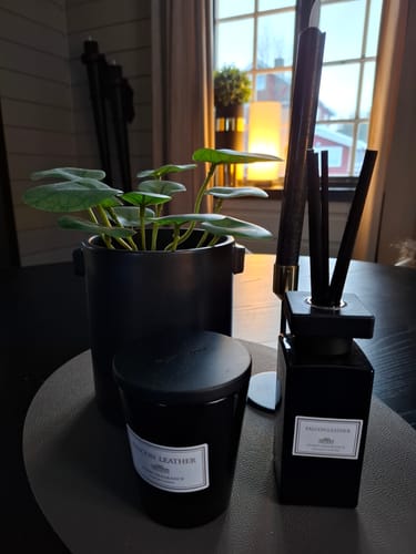 Kundens sorte Justine-potte med en grønn plante, stylet på et bord sammen med andre pyntegjenstander.