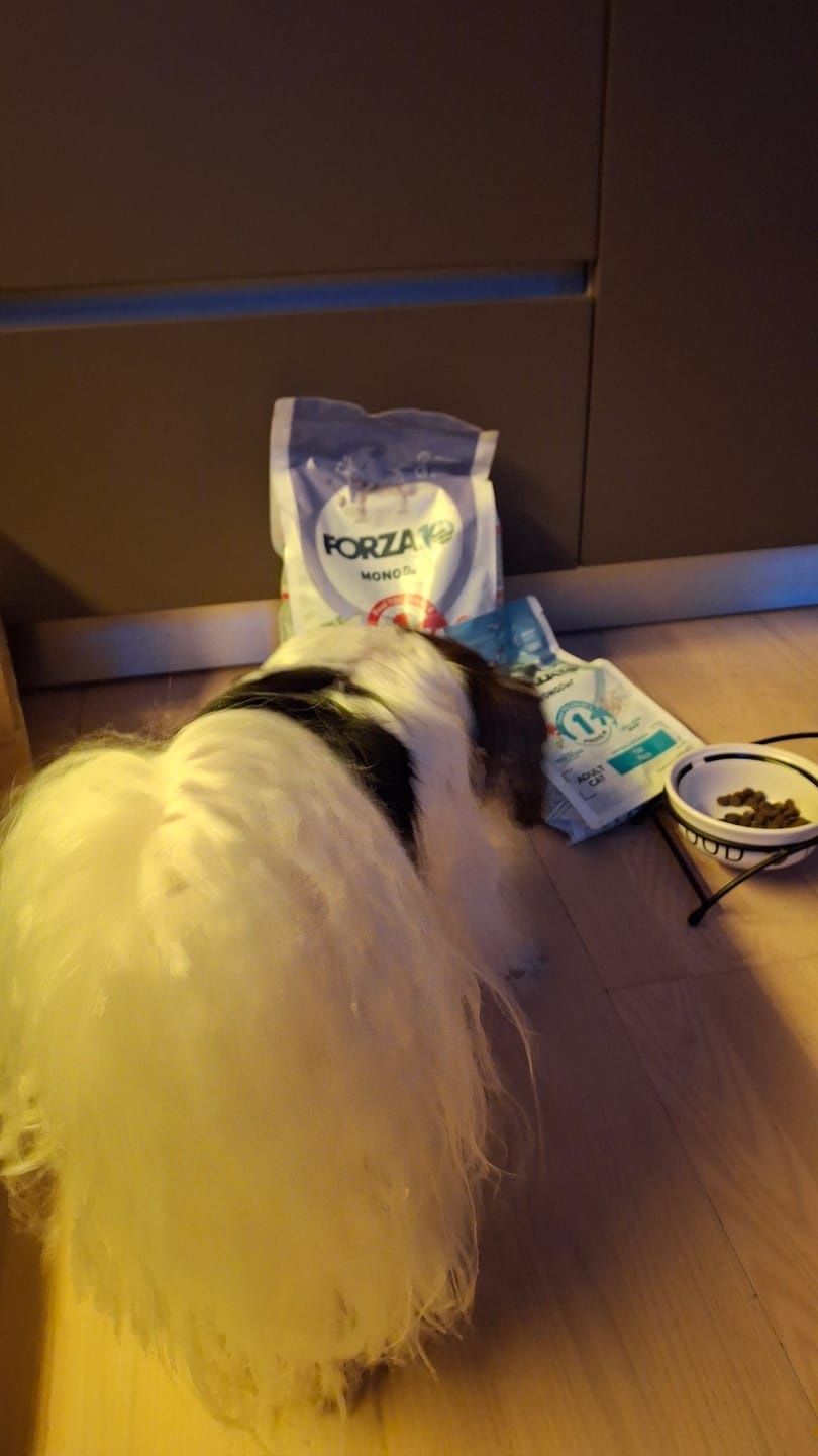 Customer photo review of Konservi suņiem ar TRUSI, kartupeļiem un ķirbi
