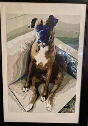 Customer photo review of Custom Pet Paint By Numbers