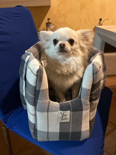 Customer photo review of Borsa Cotone Panama Scozzese Trama Grigio