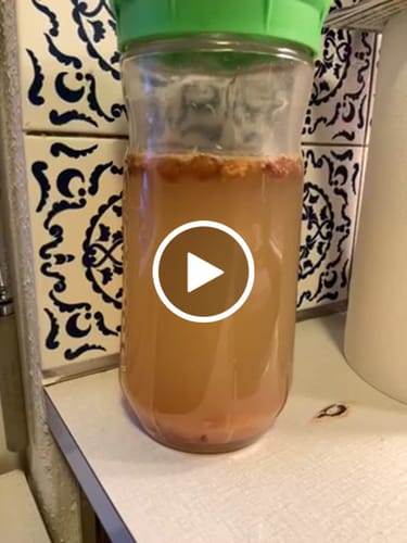 Customer video review of KEFIRKO DIY Wasserkefir-Sets 1400ml (inkl. Japankristalle) / Diverse Farben