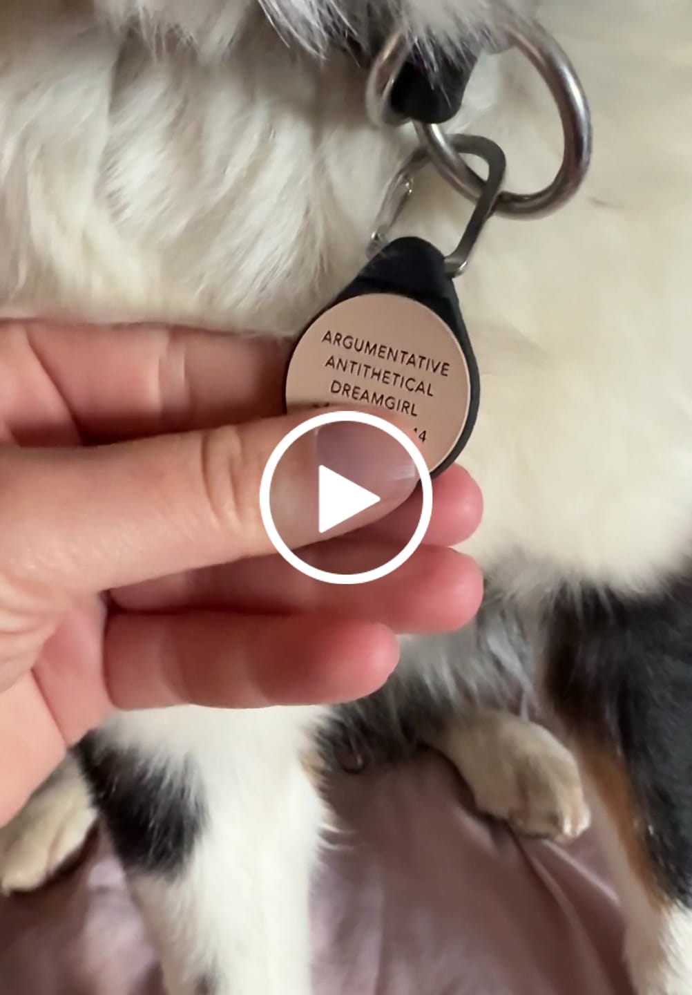 Customer video review of Roastscape™ - Silent Dog ID Tag
