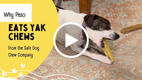 Customer video review of Banana Yak Chews