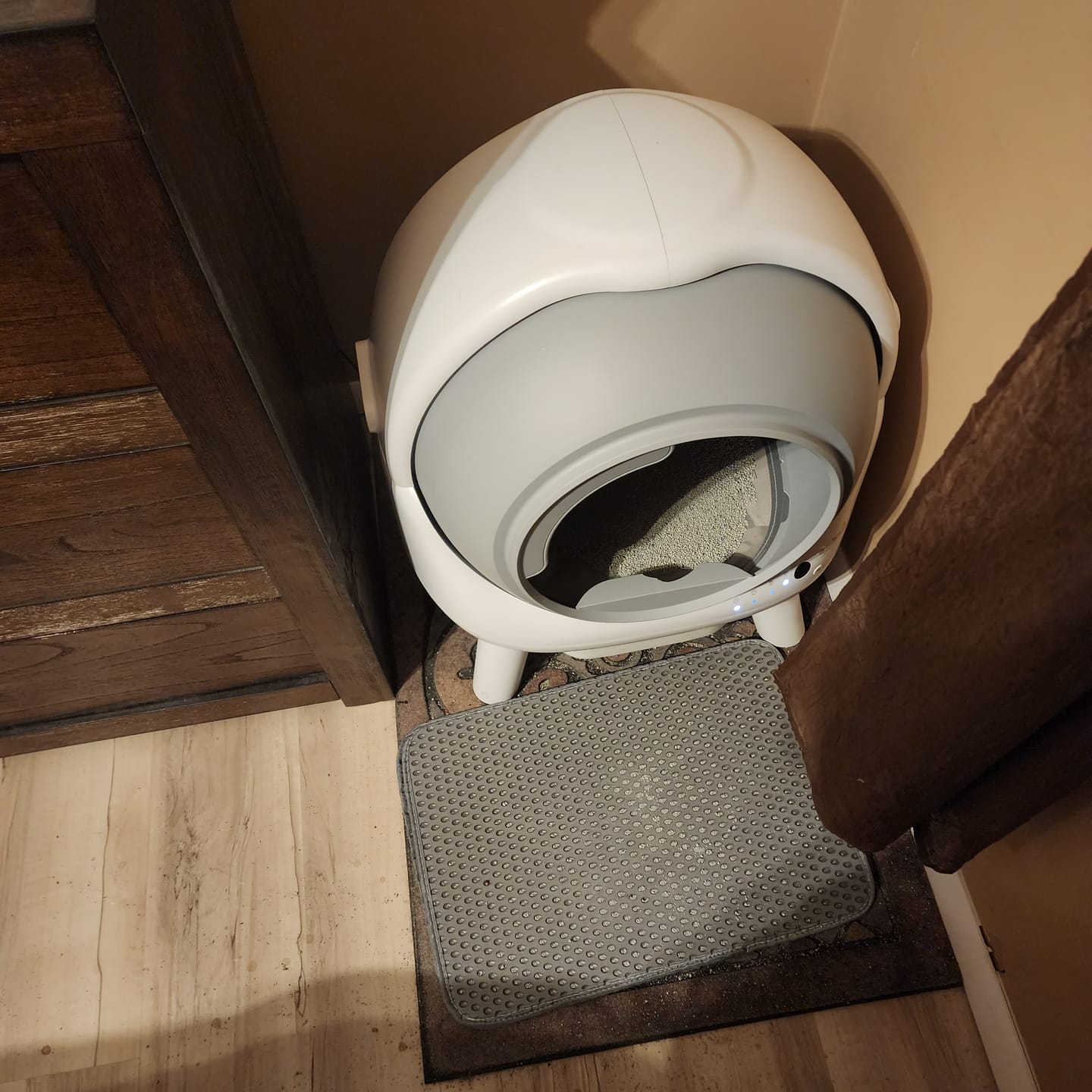 Customer photo review of [Christmas Sale]Orbitie with Wide Opening Self Cleaning Litter Box