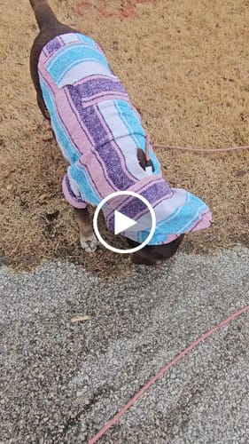 Customer video review of Free & Easy Return or Exchange Coverage + Package Protection