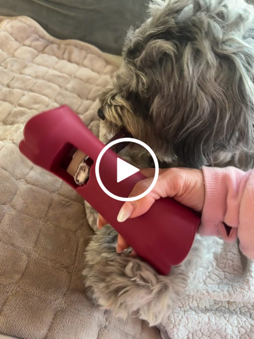 Customer video review of 6 Inch Jumbo Bully Stick