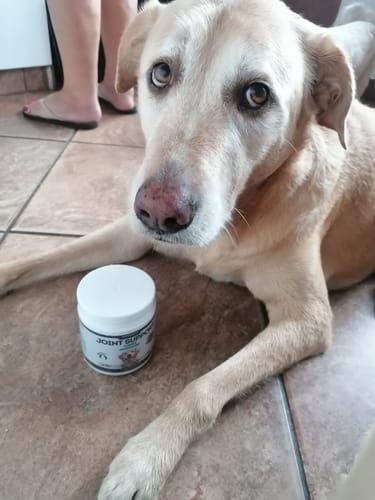 Customer photo review of Joint Support Powder
