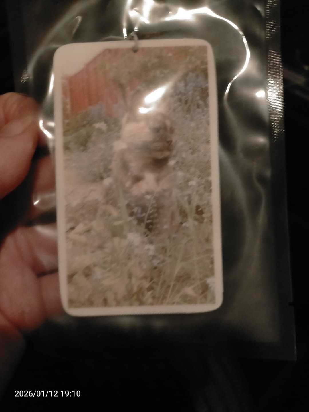 Customer photo review of Personalised Custom Car Air Freshener With Your Photo