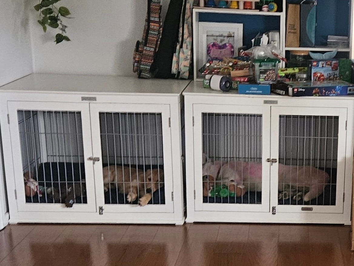 Customer photo review of Pillow Edge Crate Mat Cover
