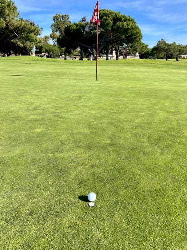 Customer photo review of F*ck 3 Putts - Ball Marker