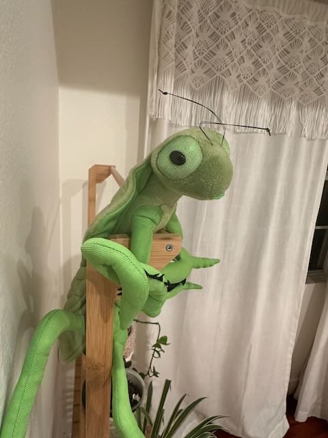 Customer photo review of Shield Mantis Soft Stuffed Plush Toy