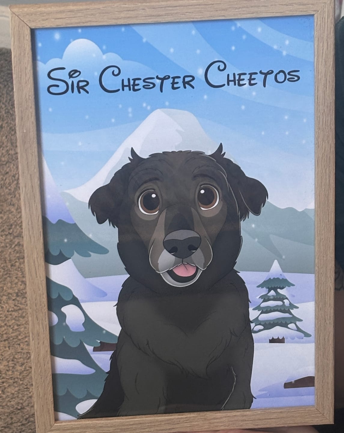 Customer photo review of Disneyfy Pet Cartoon Hand Drawn Portrait