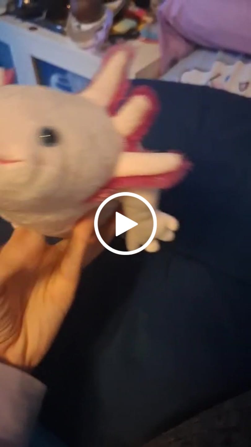 Customer video review of Pink Axolotl Soft Stuffed Plush Toy
