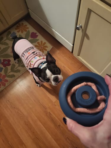 Customer photo review of Bone Refills Dog Meat 90 Grams (4 Pack)®