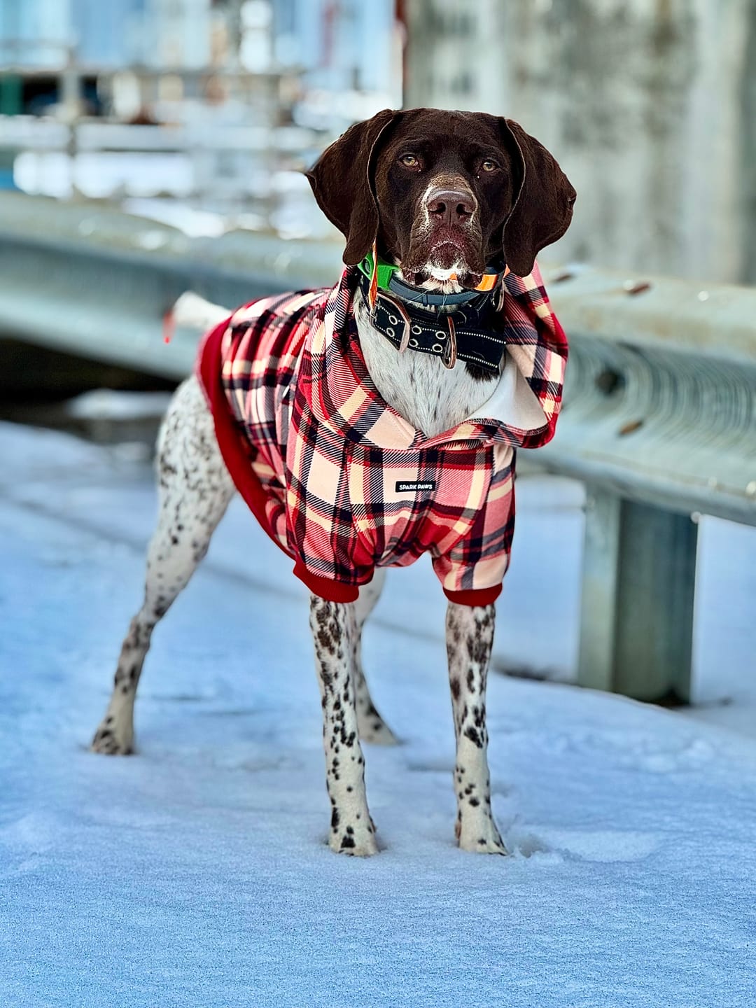 Customer photo review of Red Plaid Human Hoodie