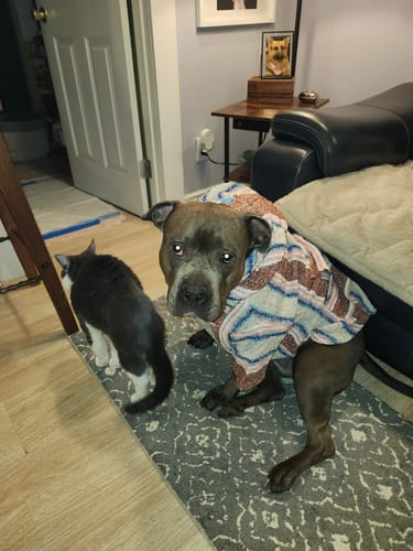 Customer photo review of Free & Easy Return or Exchange Coverage + Package Protection