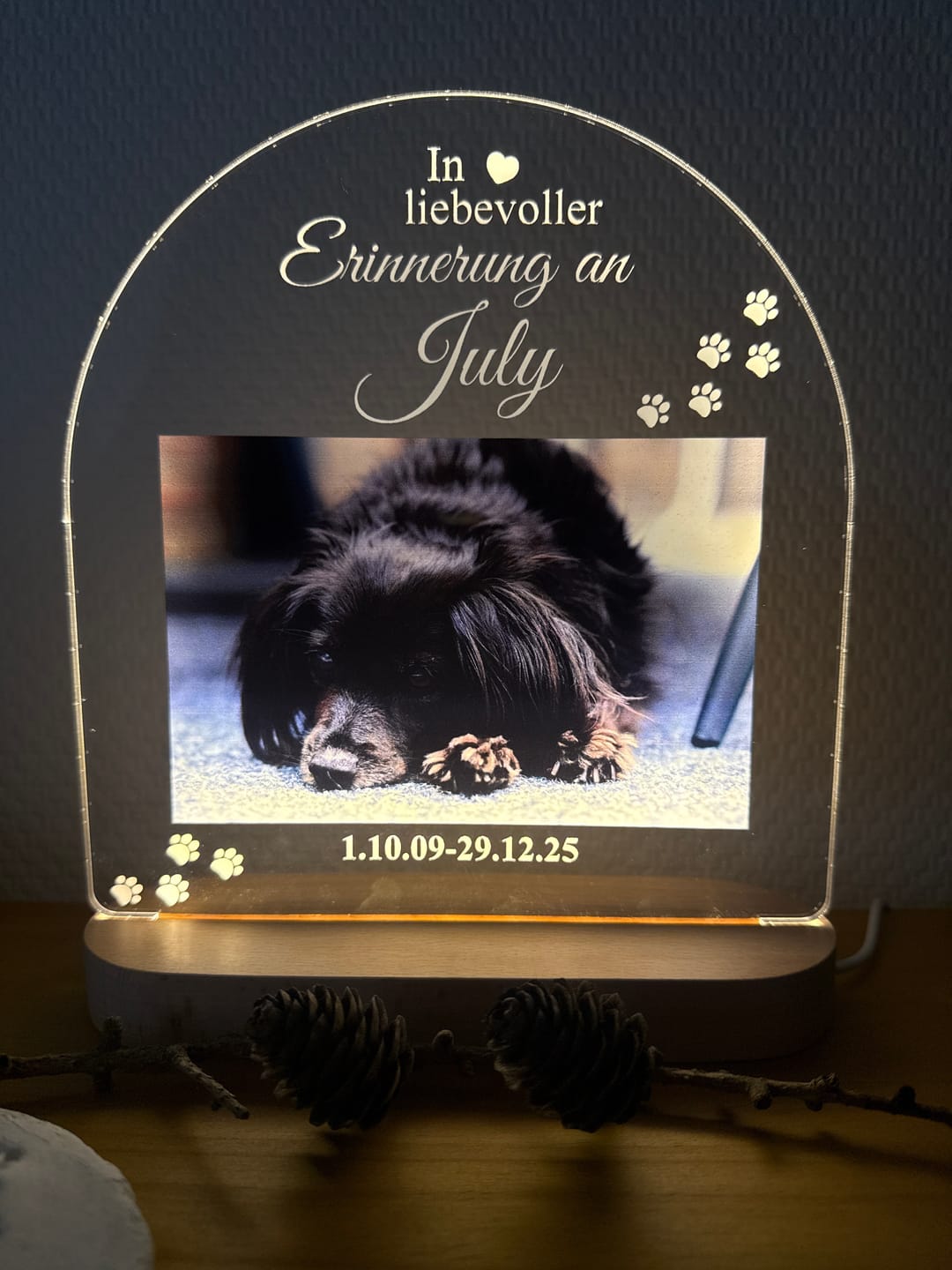 Customer photo review of Zur liebevollen Erinnerung – LED-Lampe für Hund/Katze