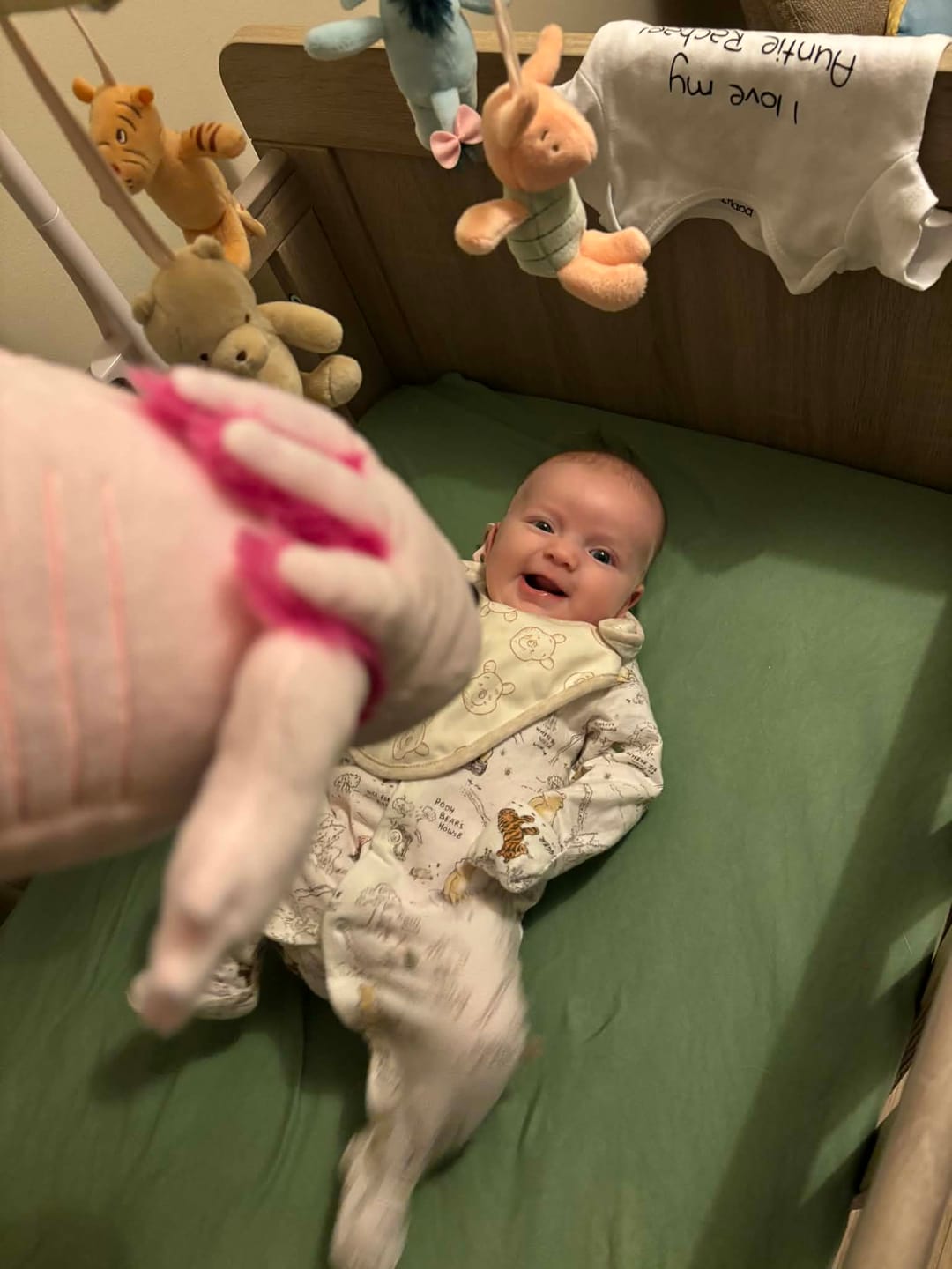 Customer photo review of Pink Axolotl Soft Stuffed Plush Toy