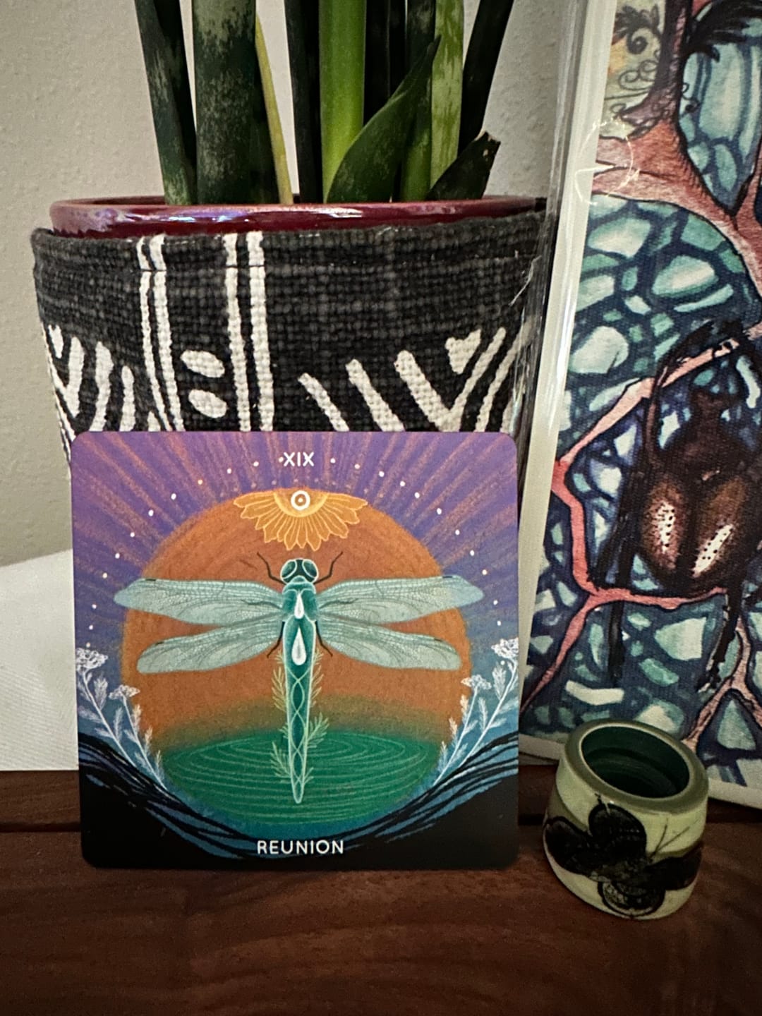 Customer photo review of Embodied Ecosystems Tarot-Oracle Deck & Guidebook
