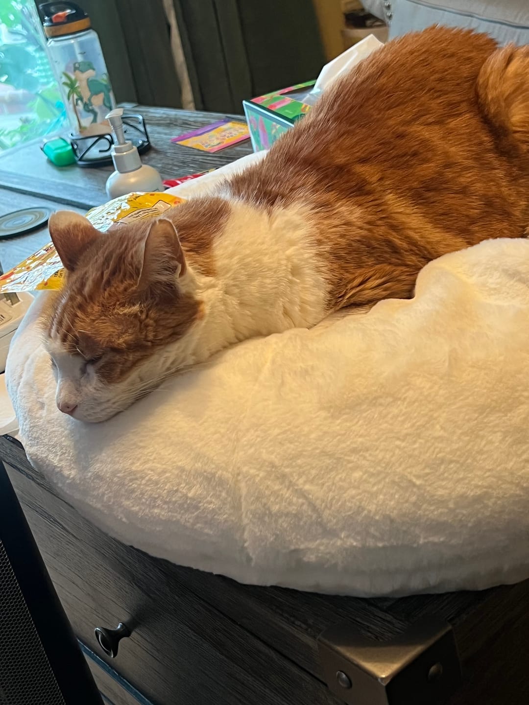 Customer photo review of Sourdough Pudding Bed