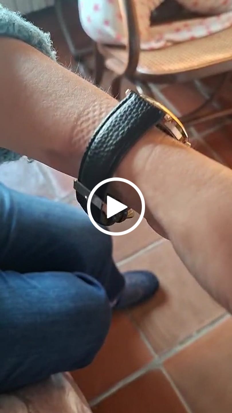Customer video review of Michelangelo The creation of Adam Watch