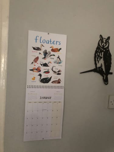 Customer photo review of 2026 'For The Pun Of It' Cheeky Wall Calendar