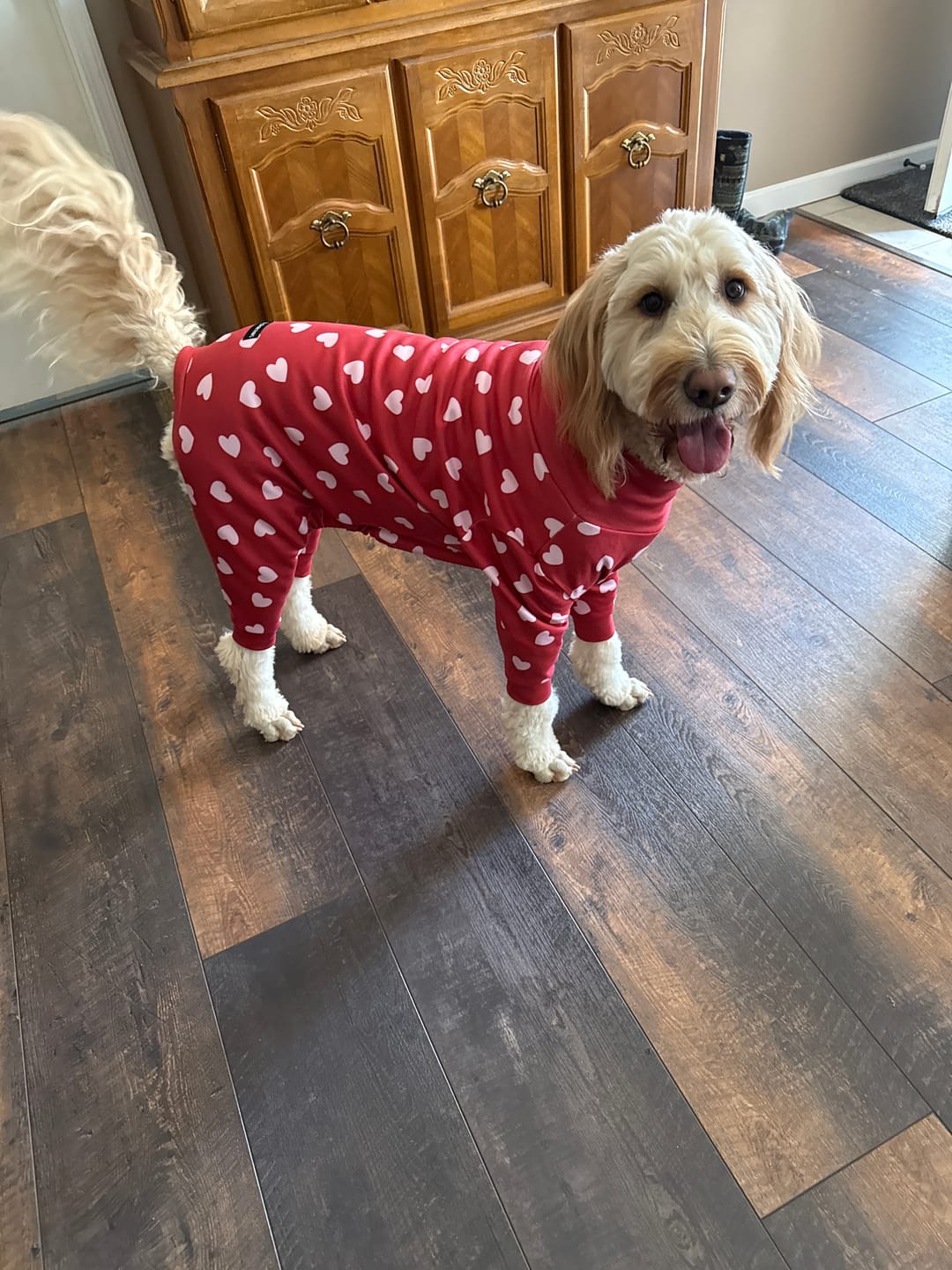 Customer photo review of Dog Pajama - Red Hearts