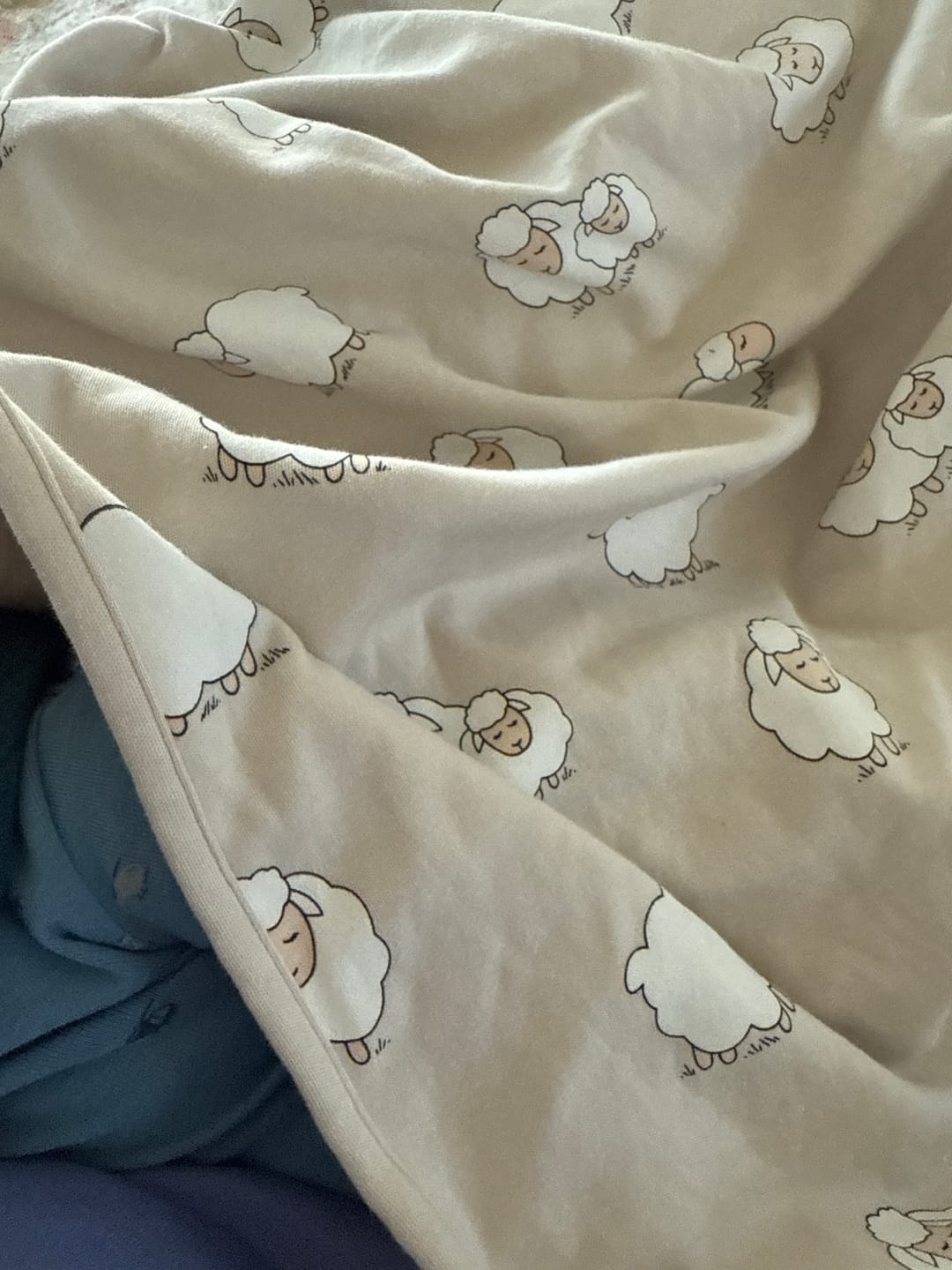 Customer photo review of 4 Season® Stroller Merino Wool & Organic Cotton Baby Blanket, 40" x 31.5", Sheep