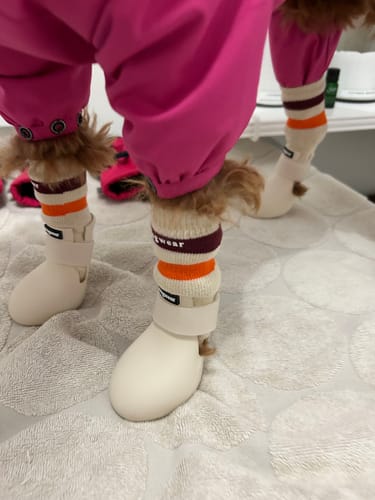 Customer photo review of WagWarmers