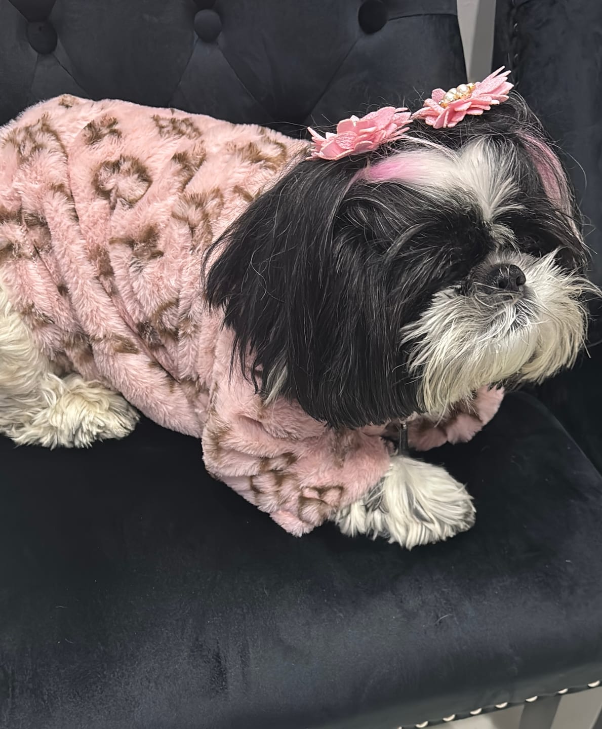 Customer photo review of Mayfair Fur Dog Coat