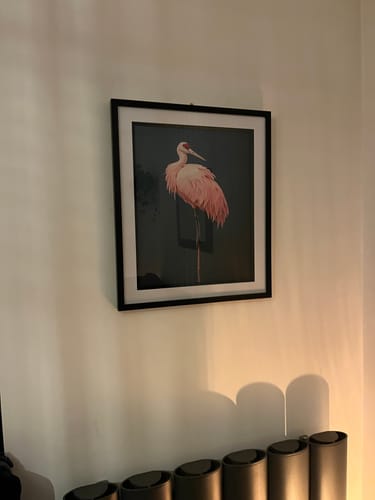 Customer photo review of Pink Crane on Blue Print