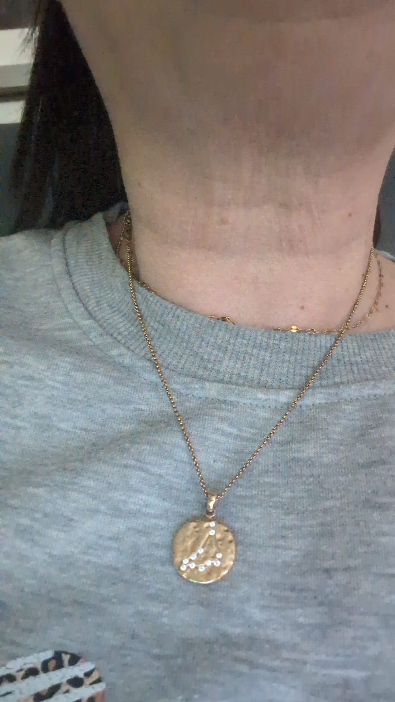 Customer photo review of Zodiac Necklace