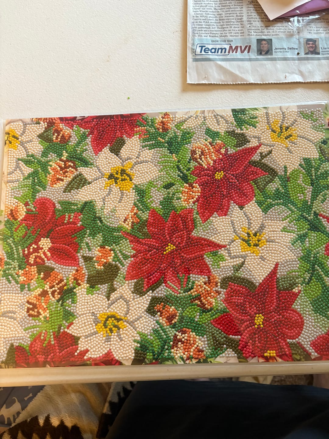 Customer photo review of Poinsettia Crystal Art Dinner Placemat Kit Set of 4