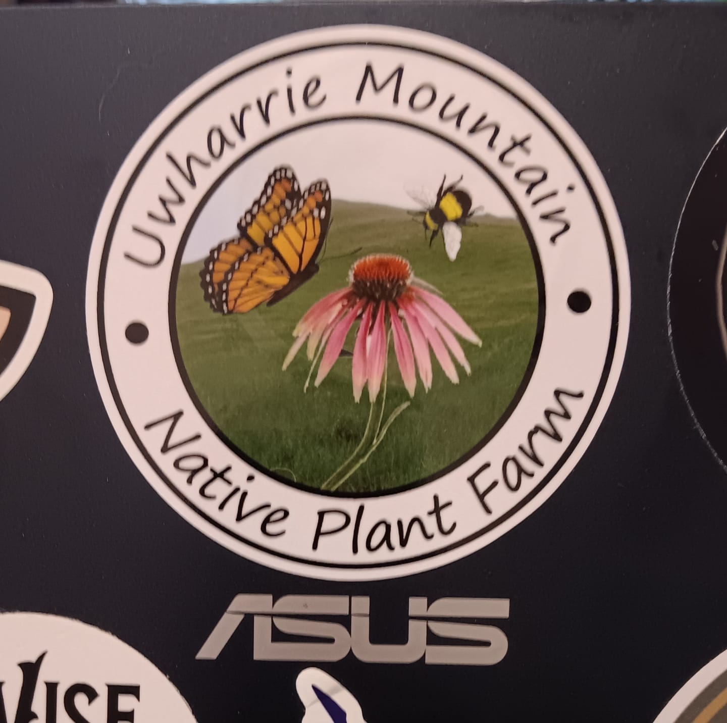 Customer photo review of Secret Sticker Sale