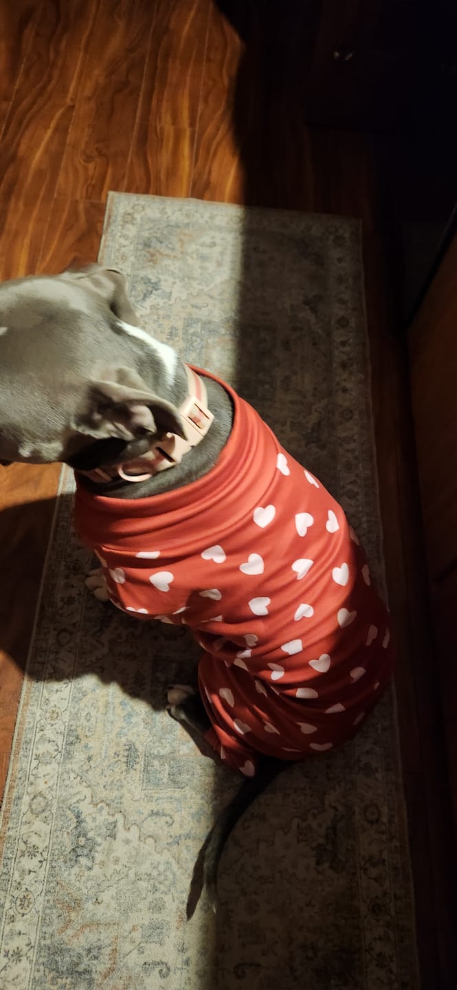 Customer photo review of Dog Pajama - Red Hearts