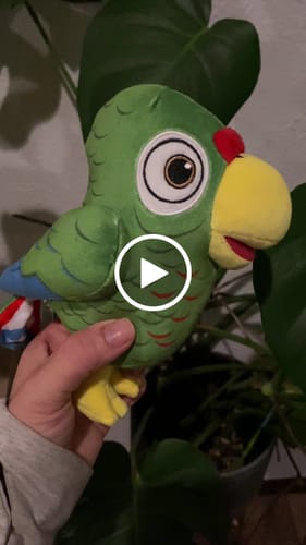 Customer video review of Bori La Cotorra