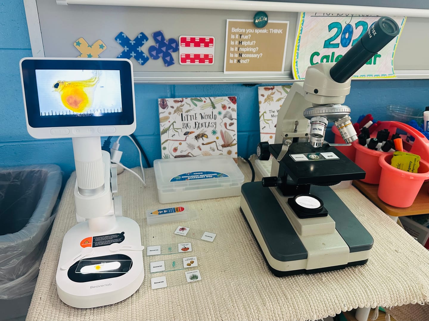Customer photo review of Darwin M2 – Professional-Grade Digital Microscope with 1600X Zoom