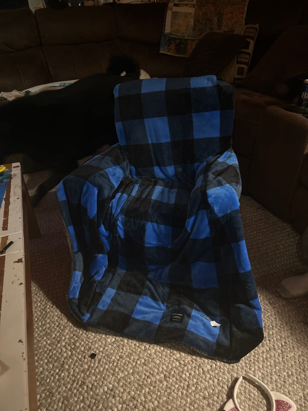 Customer photo review of The Chair Blanket