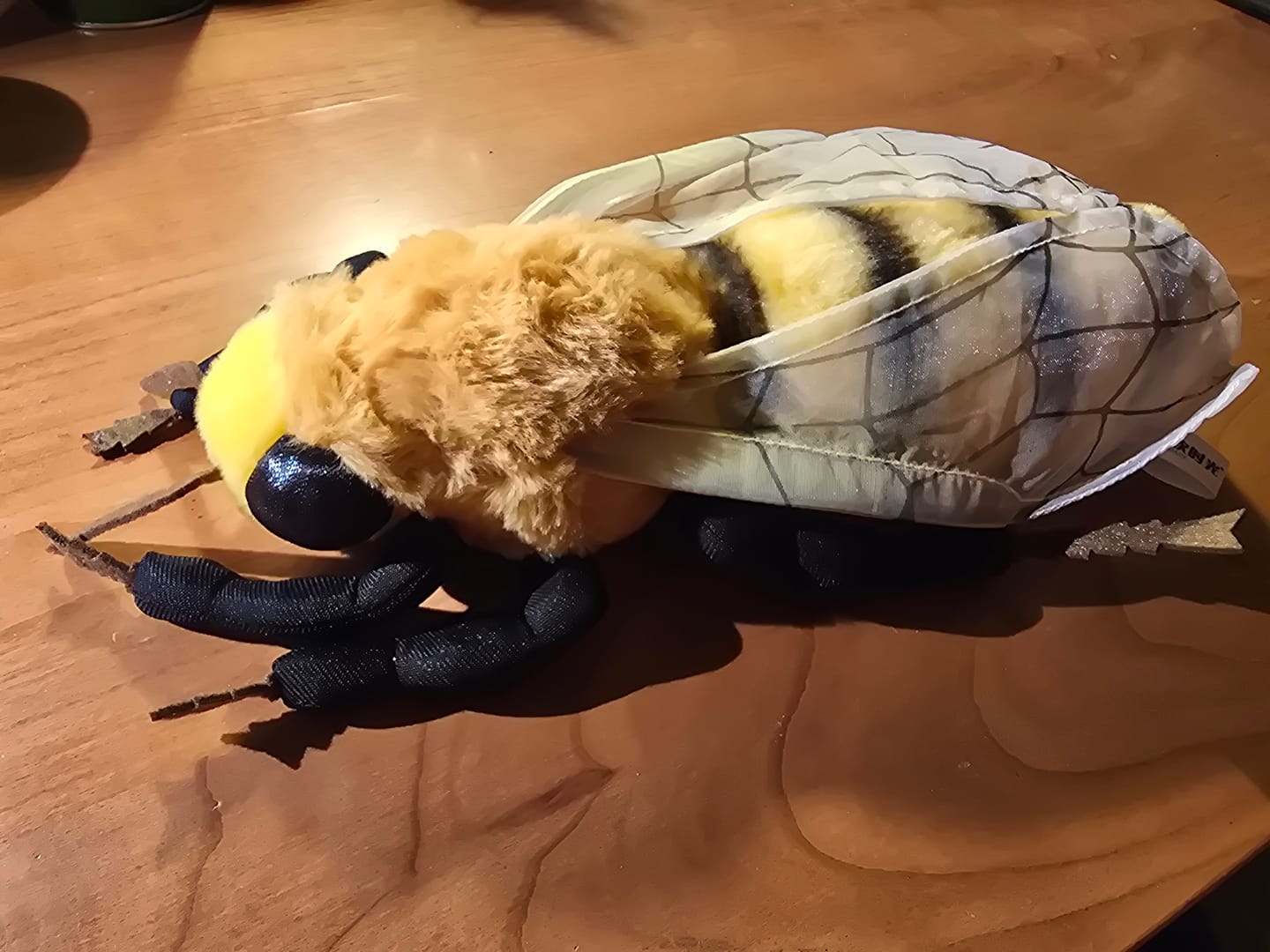Customer photo review of Bee Soft Stuffed Plush Toy