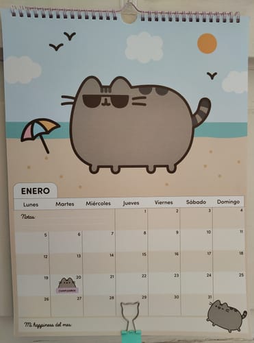 Customer photo review of Mooving - Calendario 2026 Pusheen 30 x 40 cm