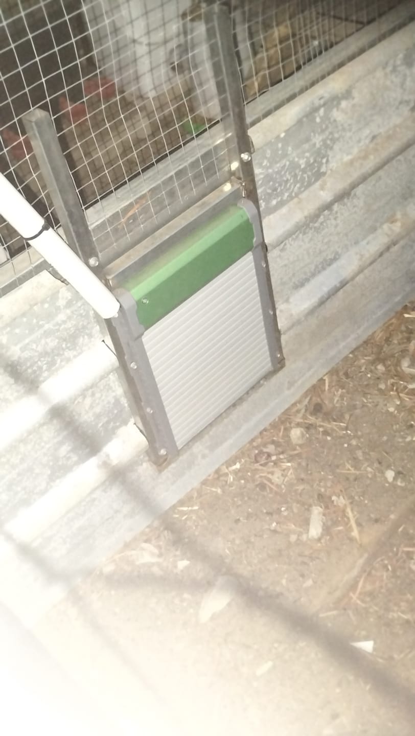 Customer photo review of Pets Gear Automatic Chicken Coop Door Solar Powered