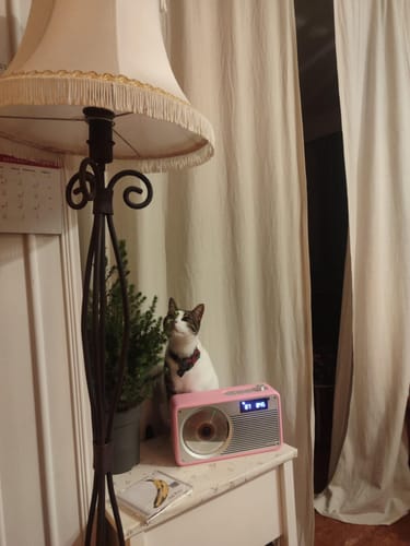 Customer photo review of VS-02 Portable CD Player